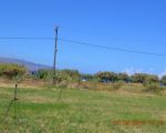 Plot of land in quiet location with olive grove & great view over Souda Bay!