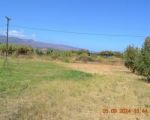 Amazing plot in Tavronitis very close to the beach
